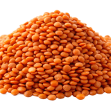 Red Lentils (लाल मसूर)